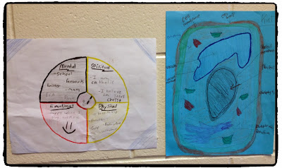 aboriginal perspective in science, aboriginal perspective in biology, incoporating the medicine wheel into science class