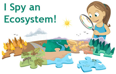 ecosystem resources, ecosystem classroom resources, ecosystems for kids