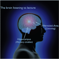 Whole Brain Teaching Wednesday! WBT in High School