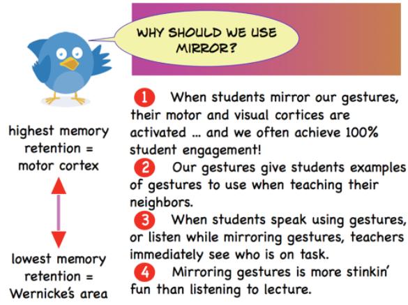 WBT, whole brain teaching strategy of mirror, using wbt mirror to learn